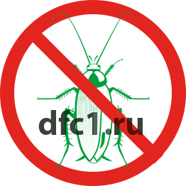 Уничтожение тараканов в Озёрске