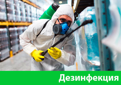 Дезинфекция в городе Озёрск